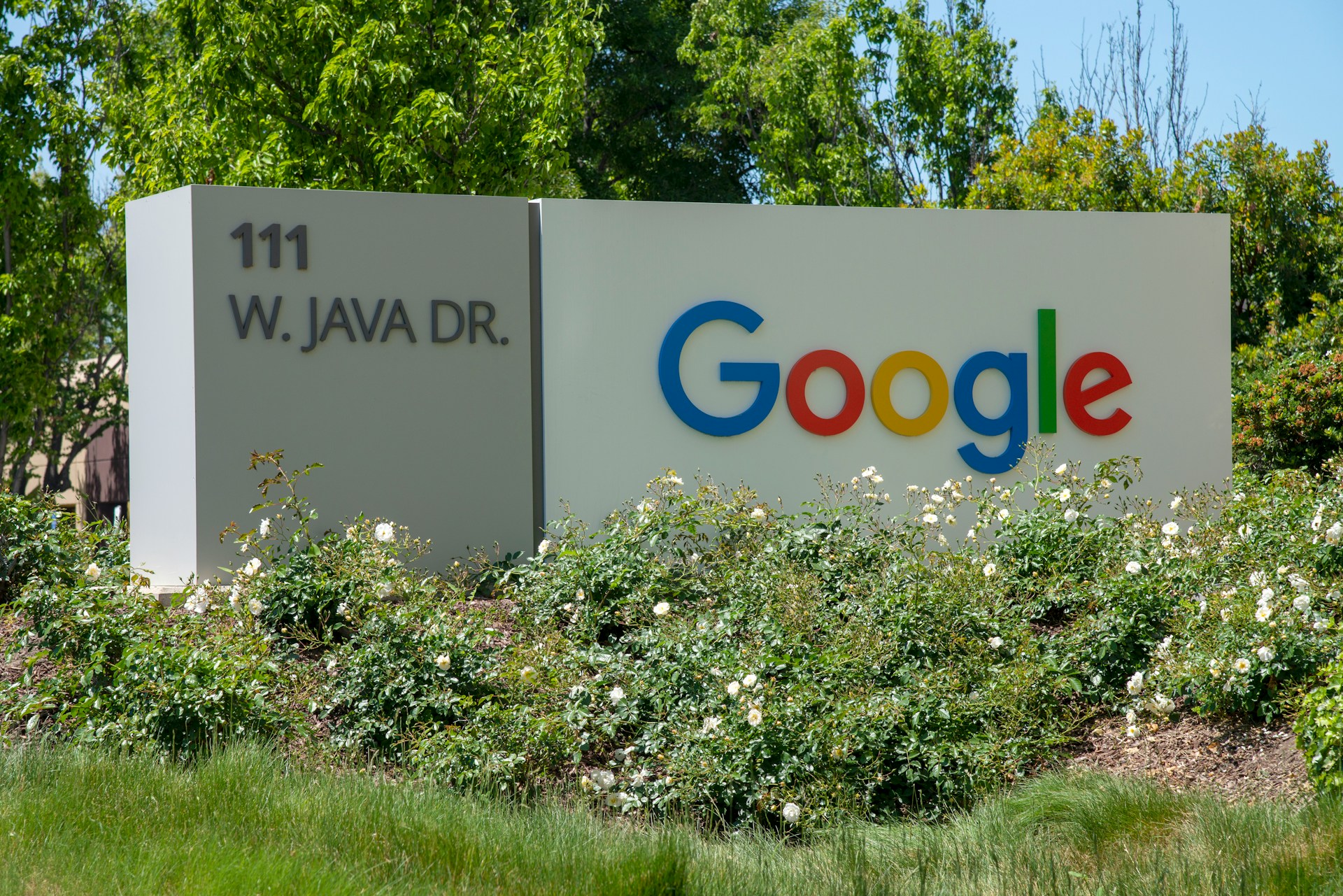 AI-Generated Research Floods Google Scholar: A Threat to Scientific Integrity