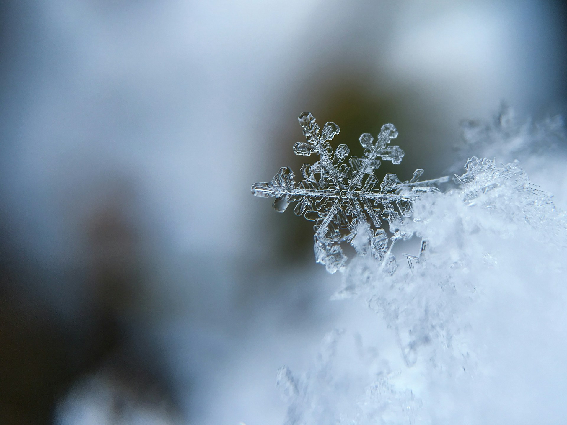 Snowflakes: Nature's Weather Predictors