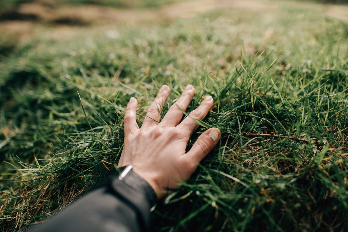 New App 'Touch Grass' Promises to Reduce Screen Time by Making Users Step Outside
