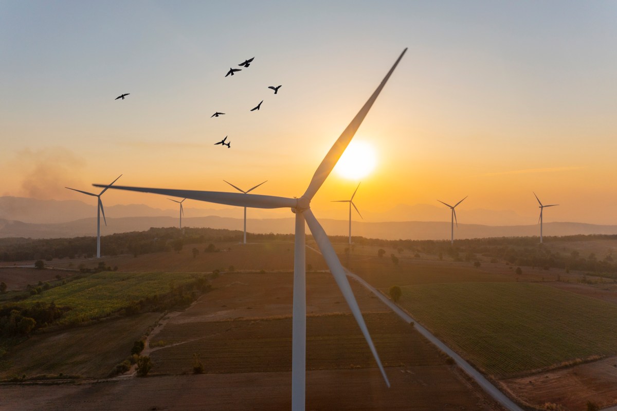 2025: A Pivotal Year for Climate Tech and AI Integration