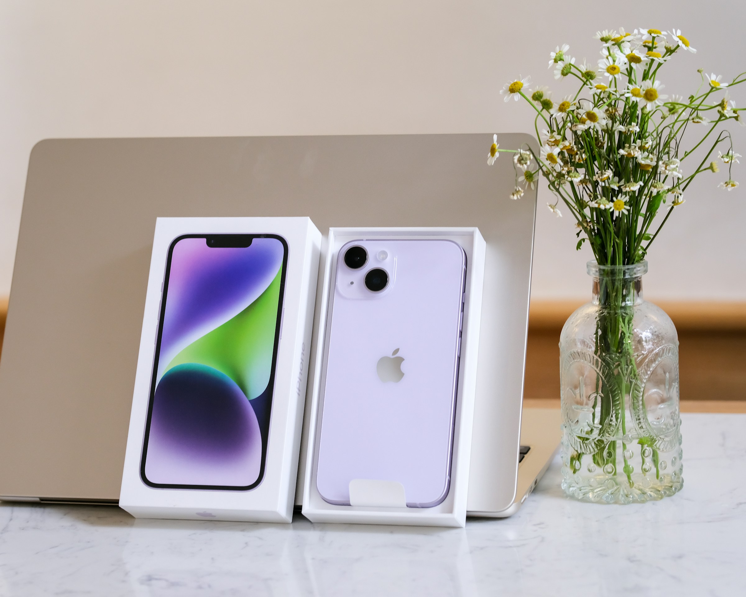 Apple Confirms No iPhone SE 4 Plus Version for Next Year