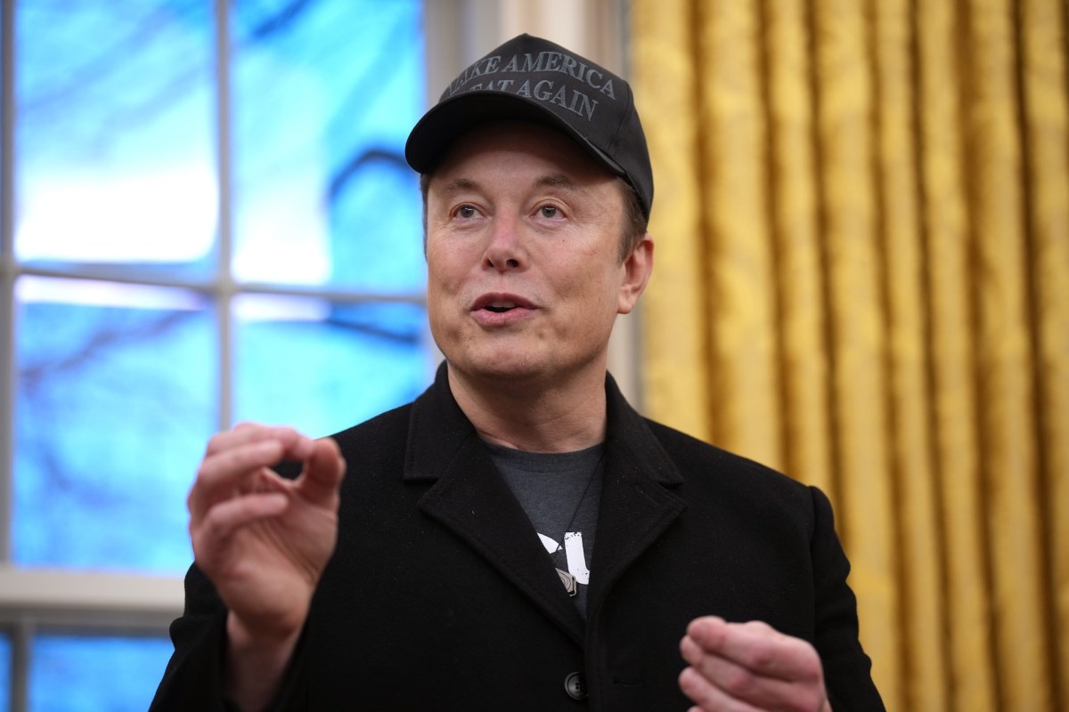 Elon Musk’s DOGE Role Faces Constitutional Scrutiny