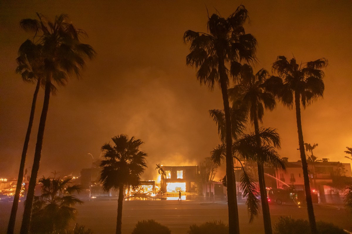 LA Residents Receive Erroneous Wildfire Evacuation Alerts
