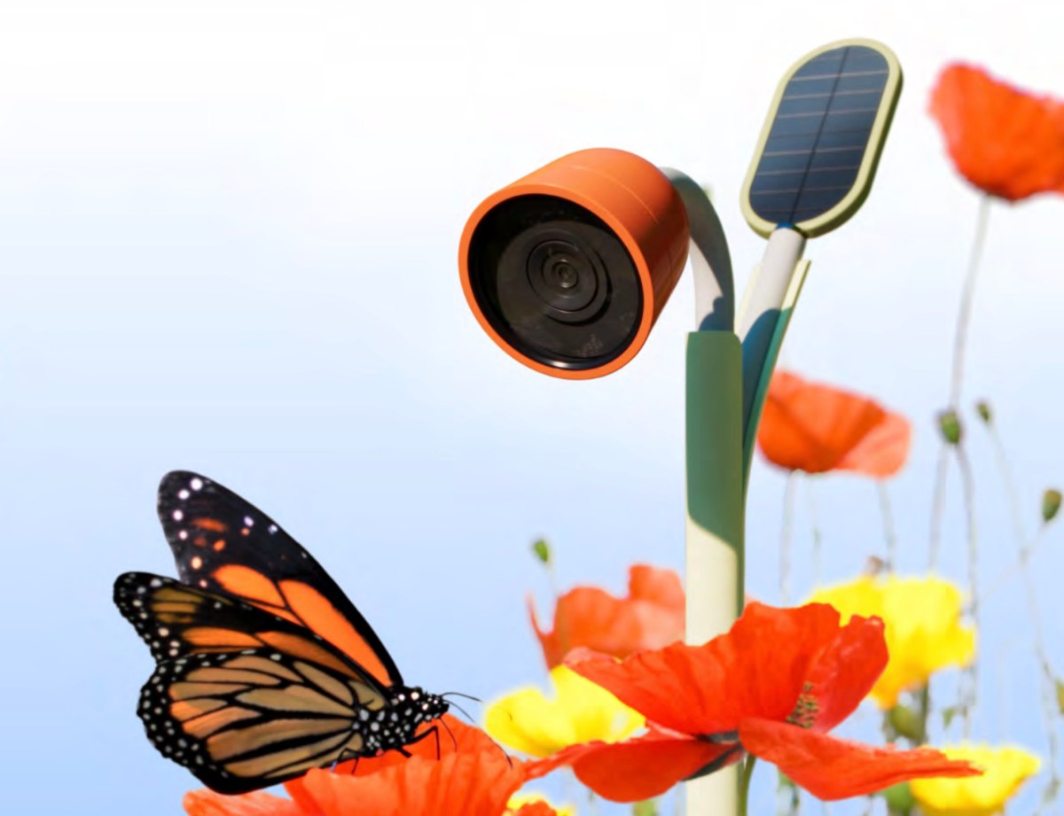 Bird Buddy Unveils Wonder Line for Insect Enthusiasts at CES 2025