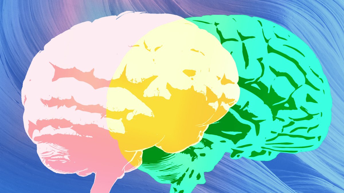 Wearable Neurotech: The Next Frontier in Medtech Investment