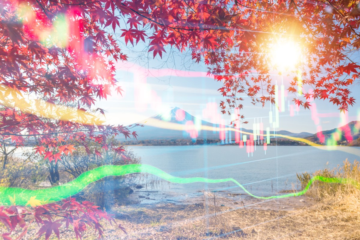 Japan's Startup Scene Sees Hope with New Unicorns Emerging