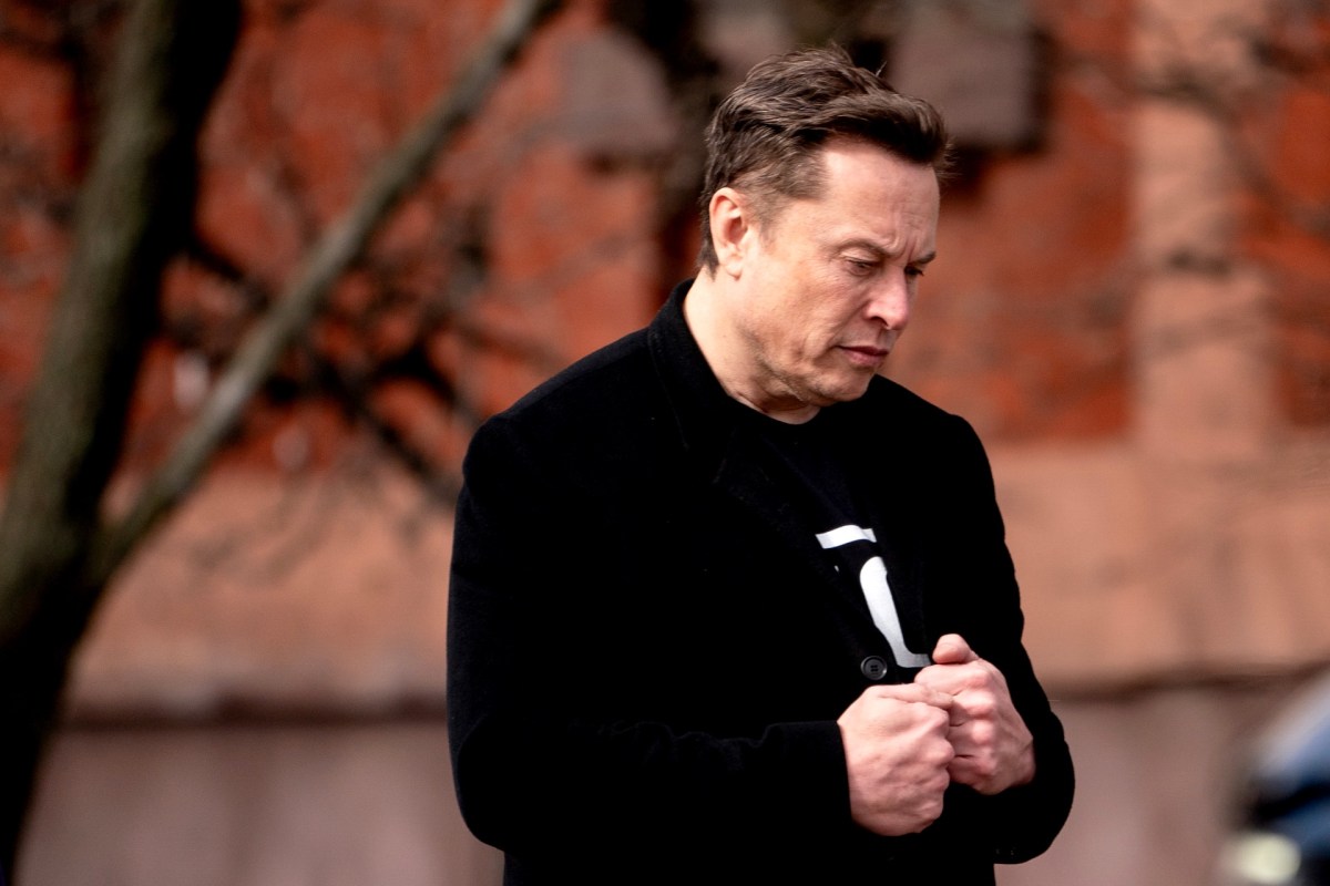 Hacked Documents Unveil Elon Musk's Private Jet Preferences