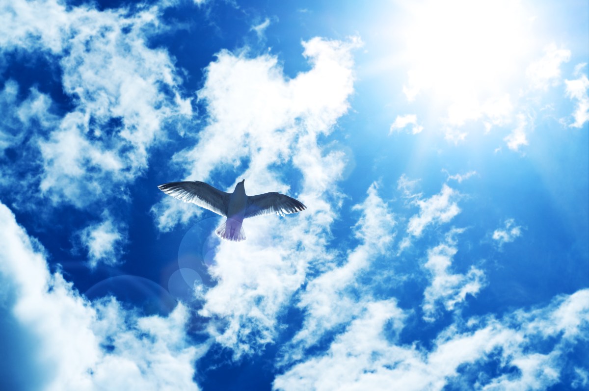 ATmosphere Conference Empowers Users to Reclaim the Web