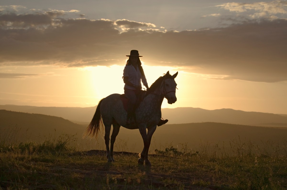 The New York Times Launches Beta Test for New Game 'Zorse'