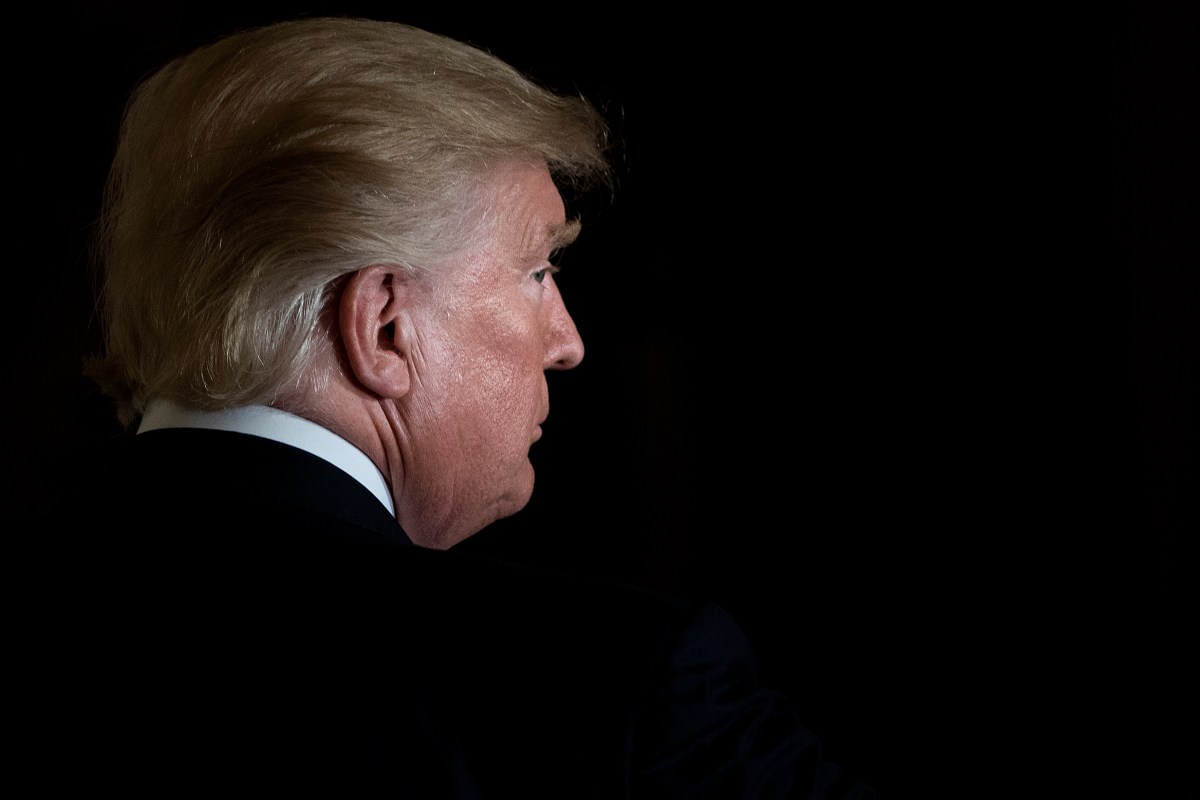 Trump's Executive Order Elevates Musk's DOGE Commission