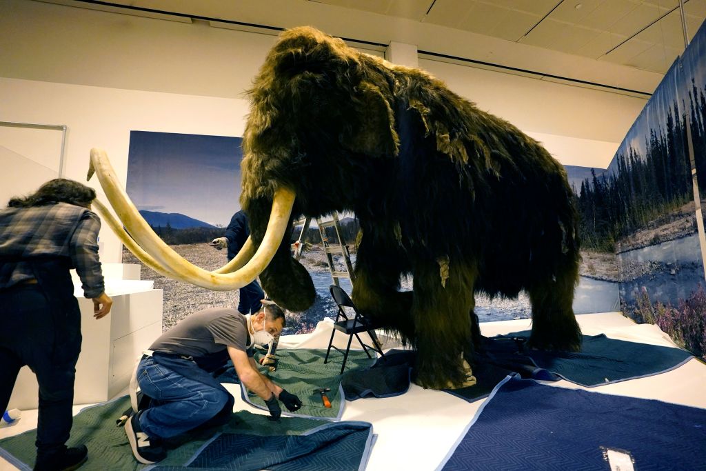 Colossal Biosciences Secures $200M to Revive Woolly Mammoth