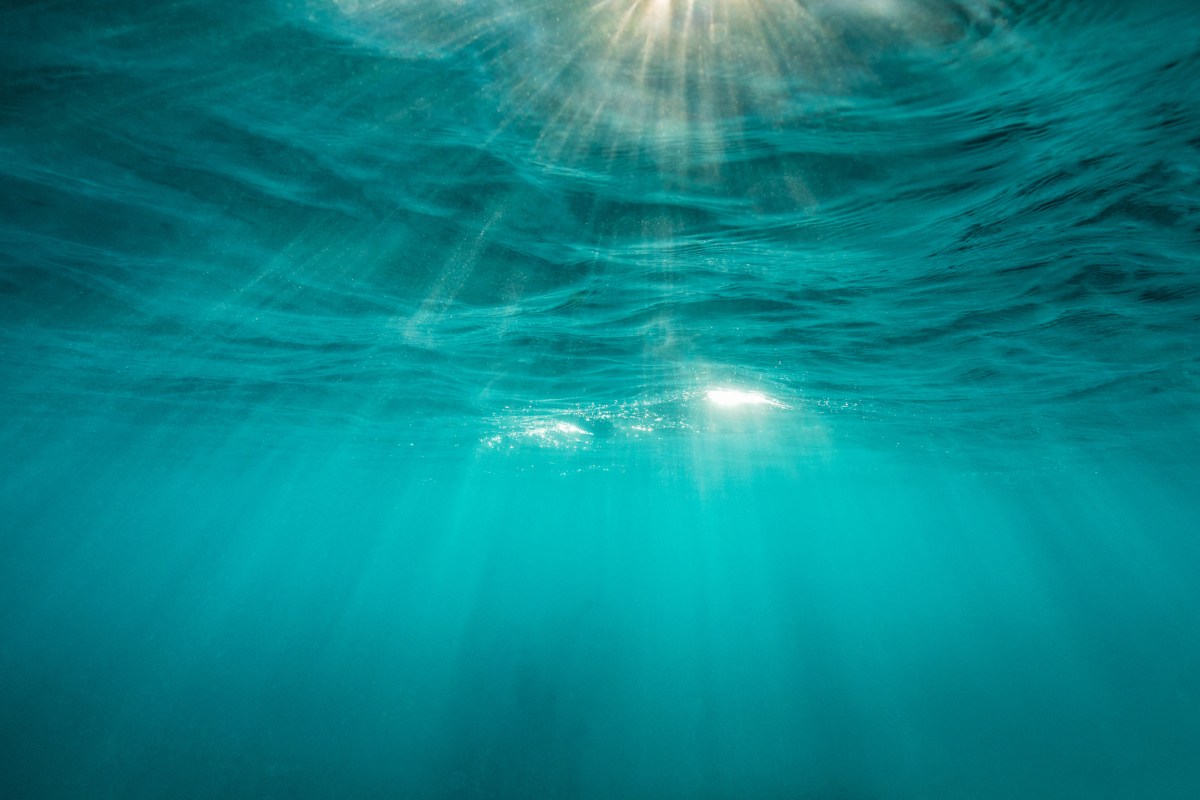 Trump Administration Set to Boost Deep-Sea Mining for Critical Minerals