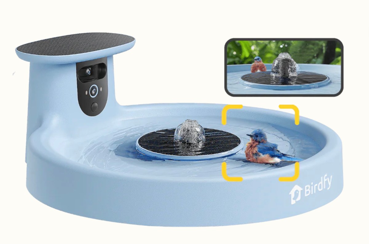 Birdfy Unveils Innovative Smart Birdbath at CES 2025