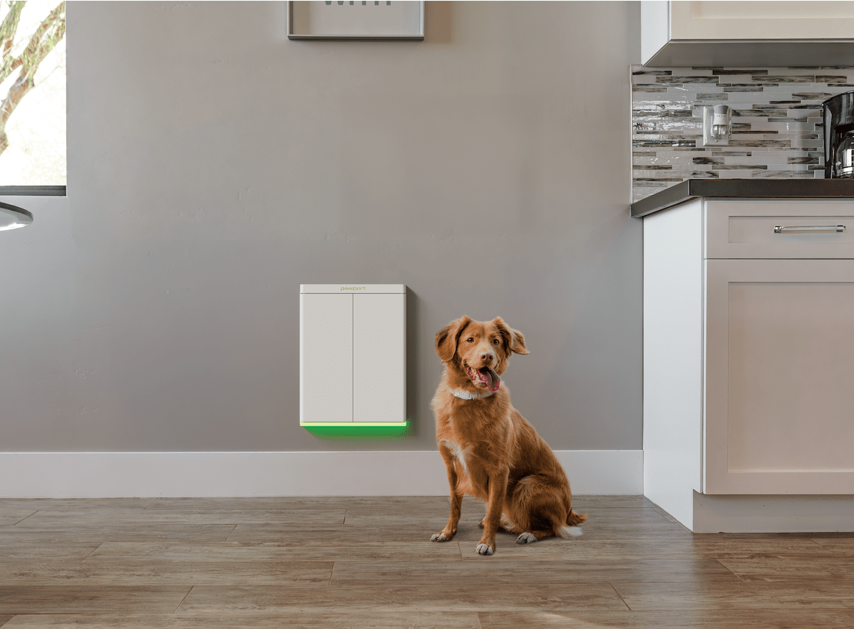 Pawport Unveils Upgraded Smart Pet Door at CES 2025