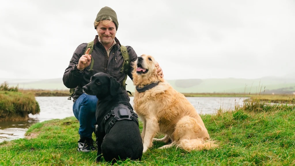 Former Huami Employees Launch SATELLAI: A Revolutionary Satellite Pet Tracker